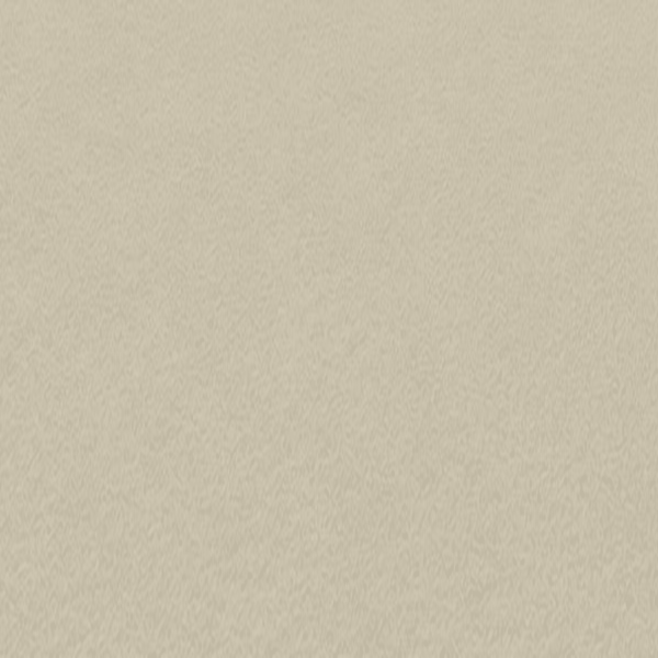 Casual Cream carpet swatch illustration