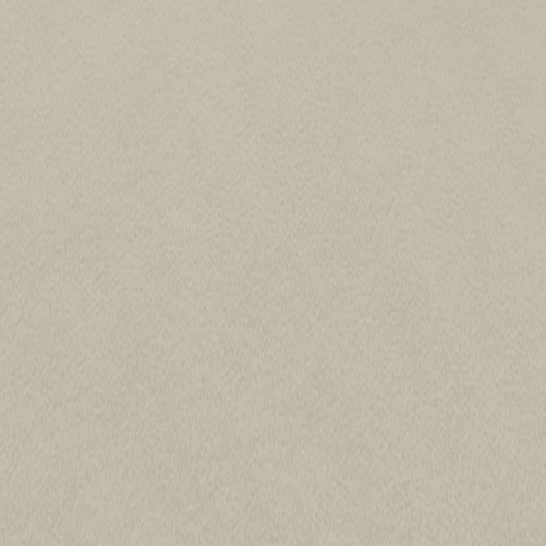 Dove carpet swatch illustration