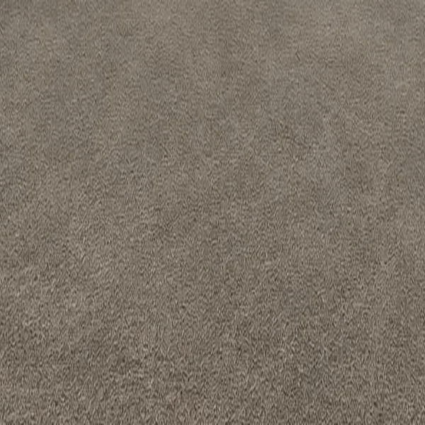 Husky carpet swatch illustration