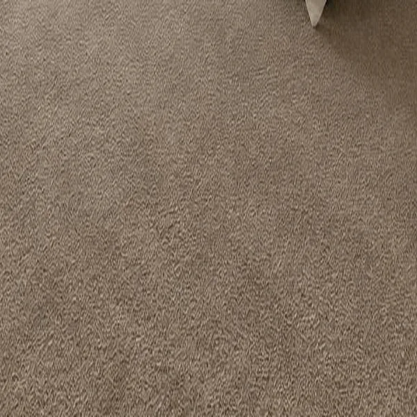 Sandstone carpet swatch illustration