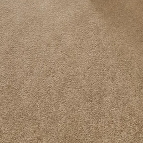 Sugar Cookie carpet swatch illustration